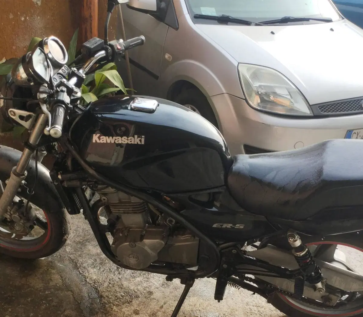 Kawasaki ER-5 500 (2001 - 06) (4)