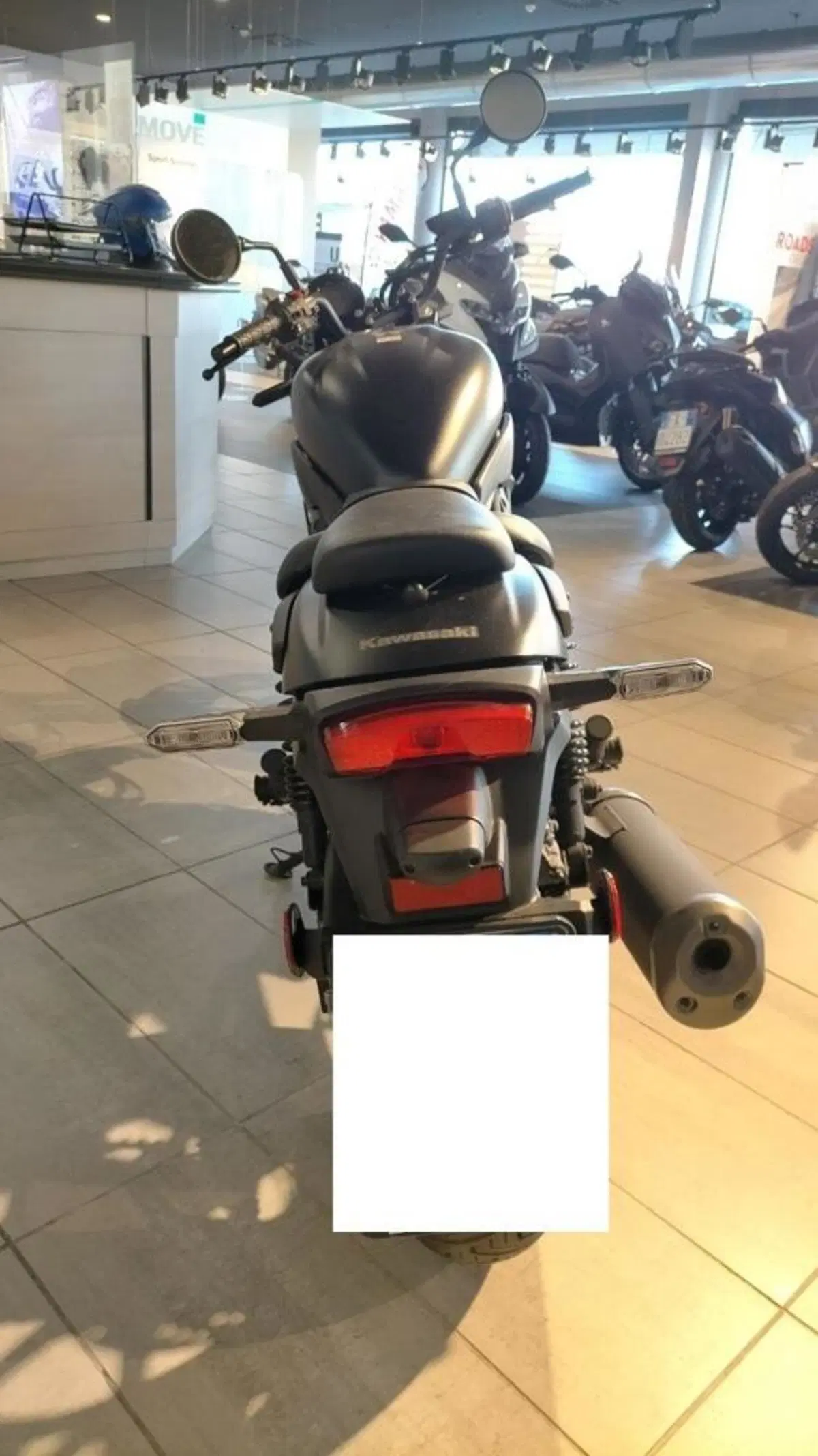 Kawasaki Eliminator 500 SE (2024 - 26) (5)