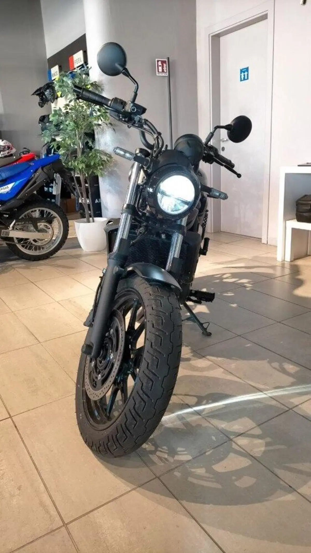 Kawasaki Eliminator 500 SE (2024 - 26) (6)