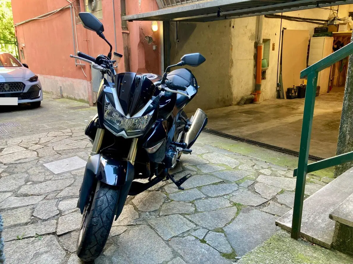 Kawasaki Z 1000 (2007 - 09) (4)