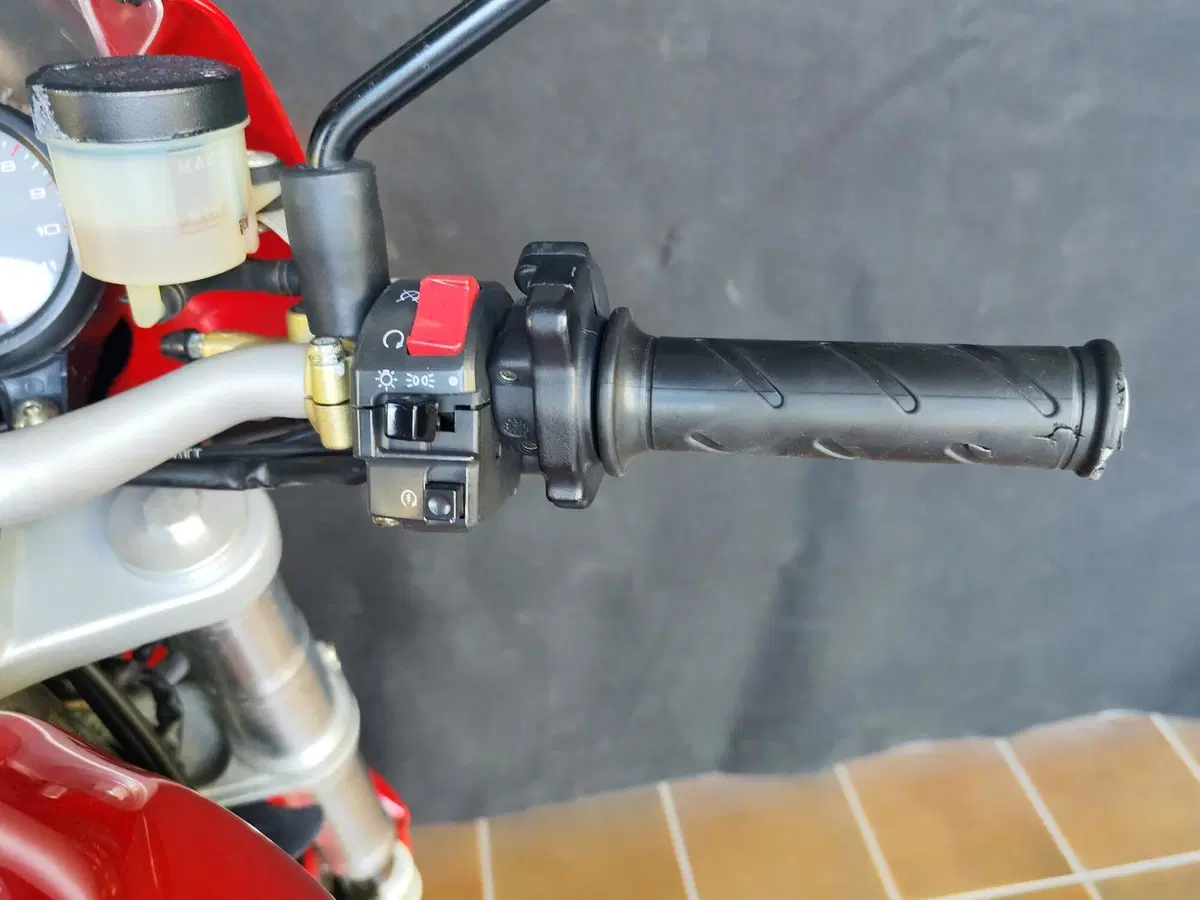 Ducati Monster 620 I.E (2002) (14)