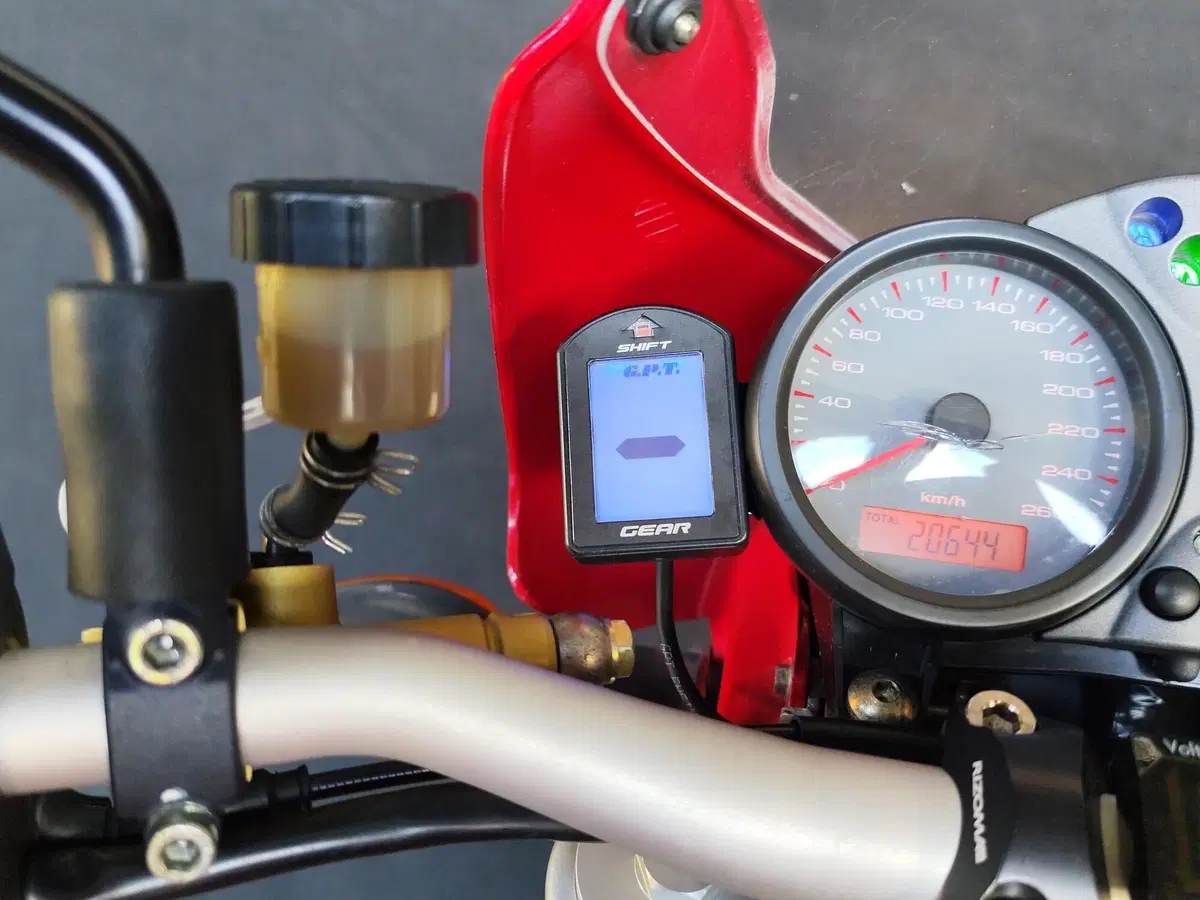 Ducati Monster 620 I.E (2002) (20)