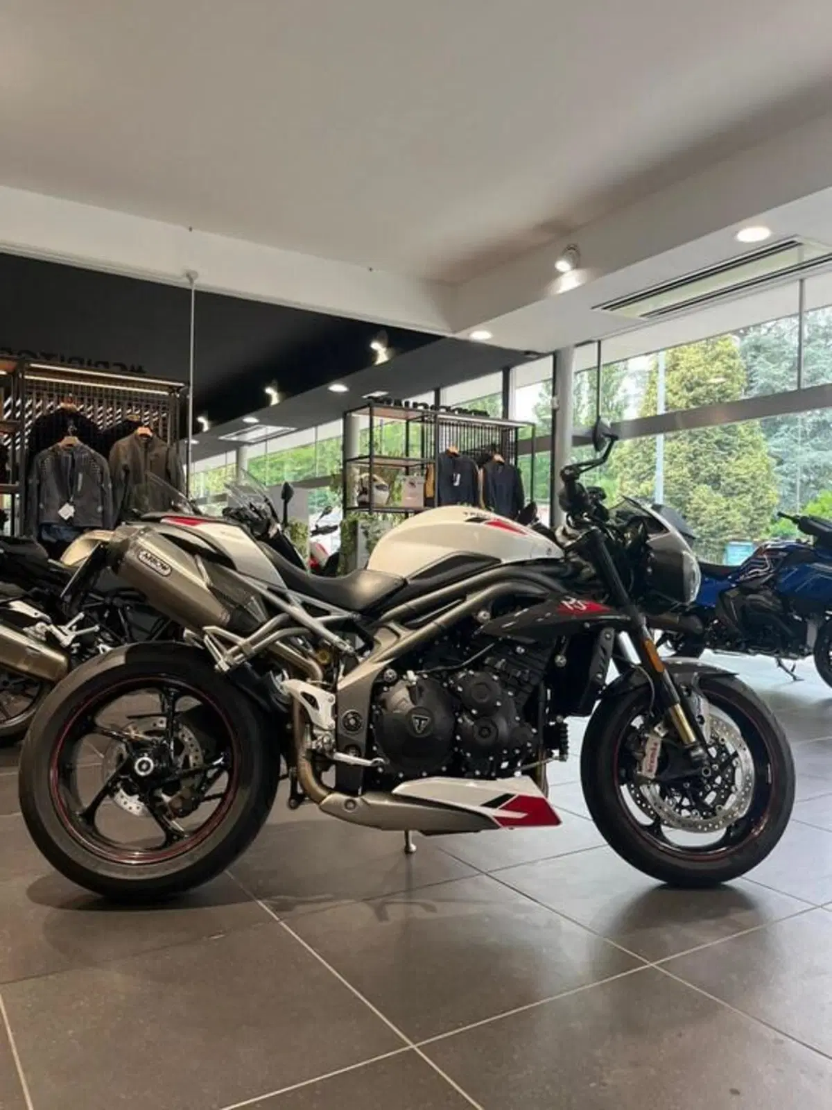 Triumph Speed Triple 1050 RS (2018 - 20) (7)