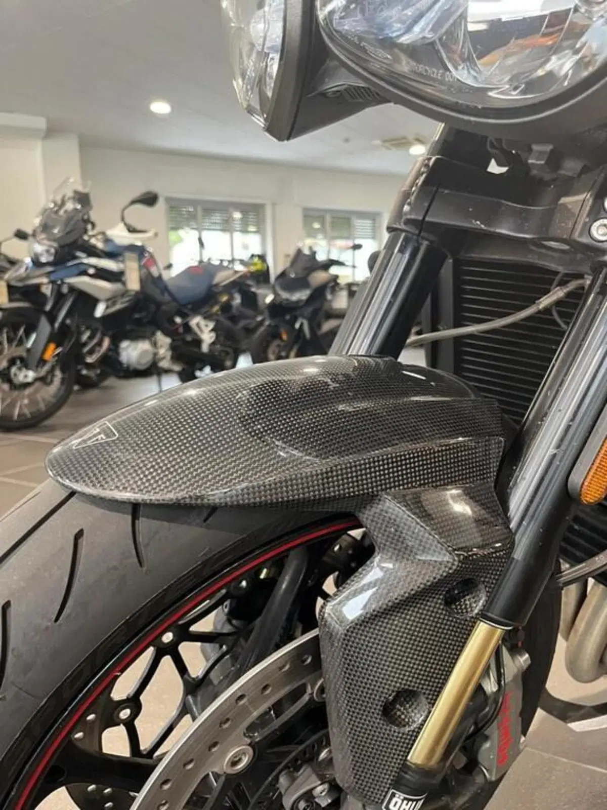 Triumph Speed Triple 1050 RS (2018 - 20) (12)