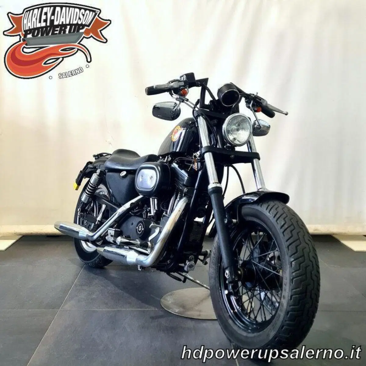 Harley-Davidson 883 Standard (2001 - 05) - XL 883 (4)
