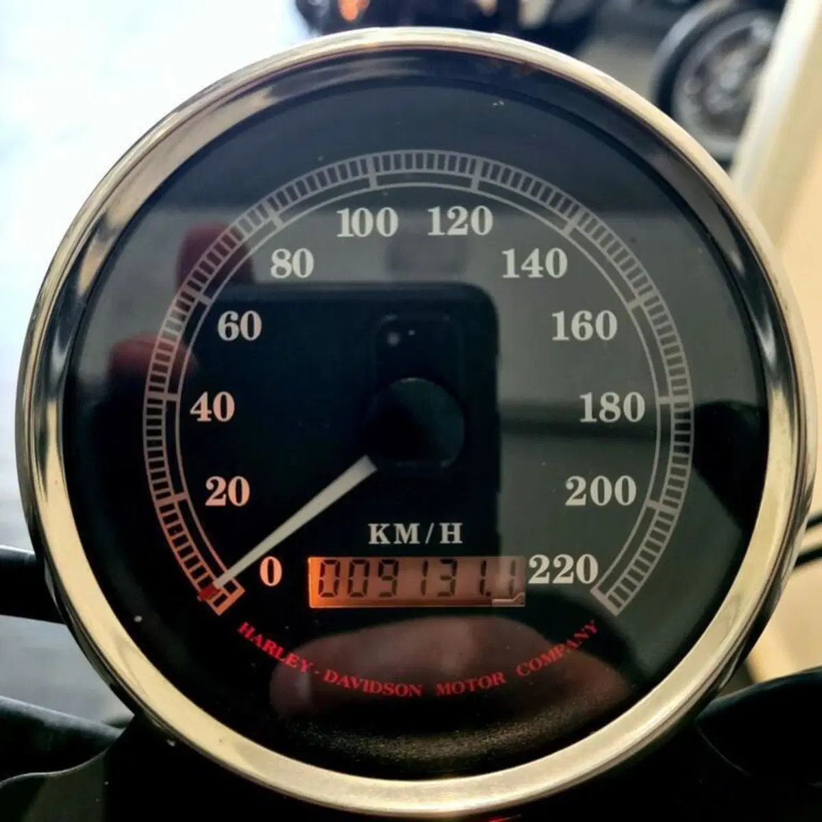 Harley-Davidson 883 Standard (2001 - 05) - XL 883 (5)