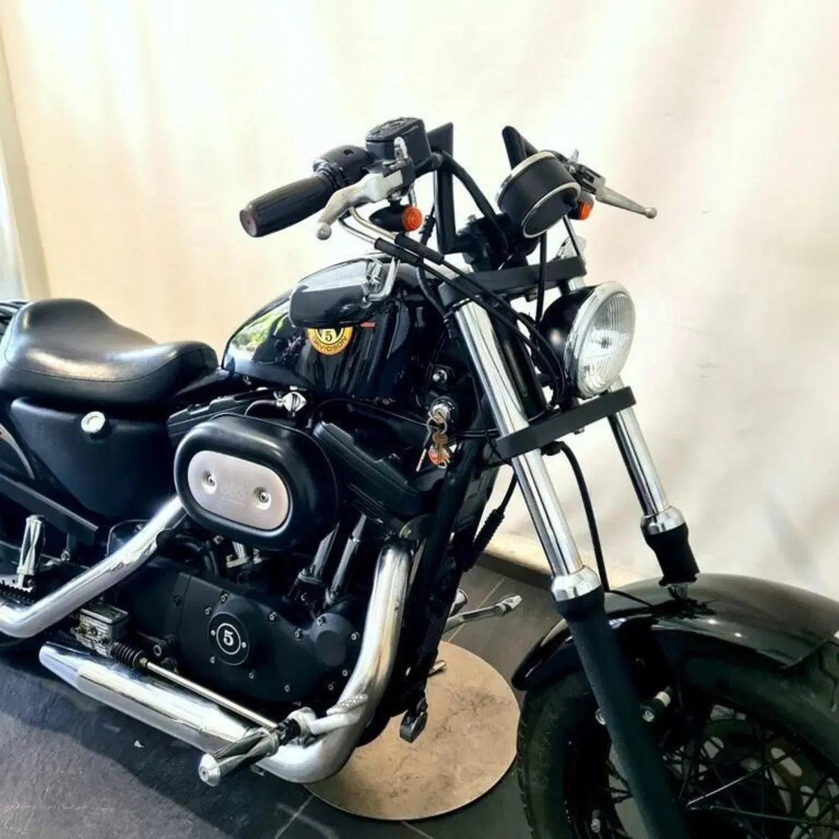 Harley-Davidson 883 Standard (2001 - 05) - XL 883 (15)