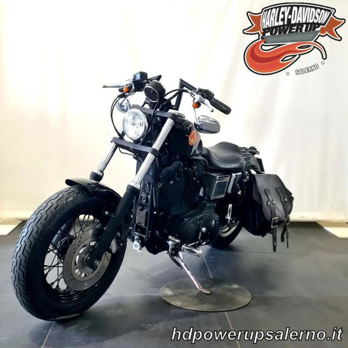 Harley-Davidson 883 Standard (2001 - 05) - XL 883 (3)