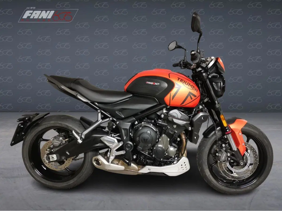 Triumph Trident 660 (2021 - 24)
