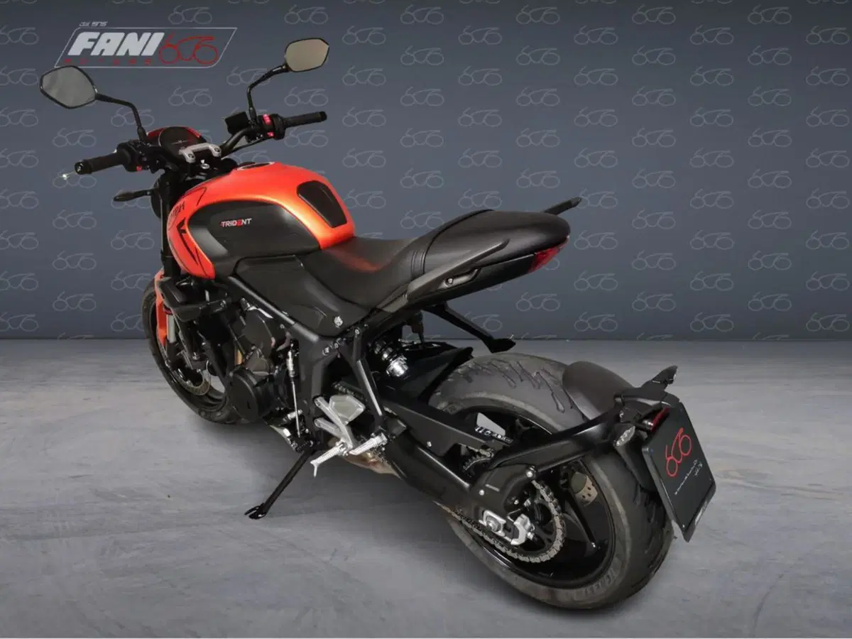 Triumph Trident 660 (2021 - 24) (6)