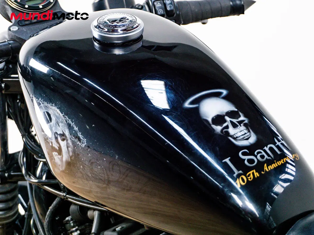 Harley-Davidson 883 Iron (2009 - 11) - XL 883N (20)