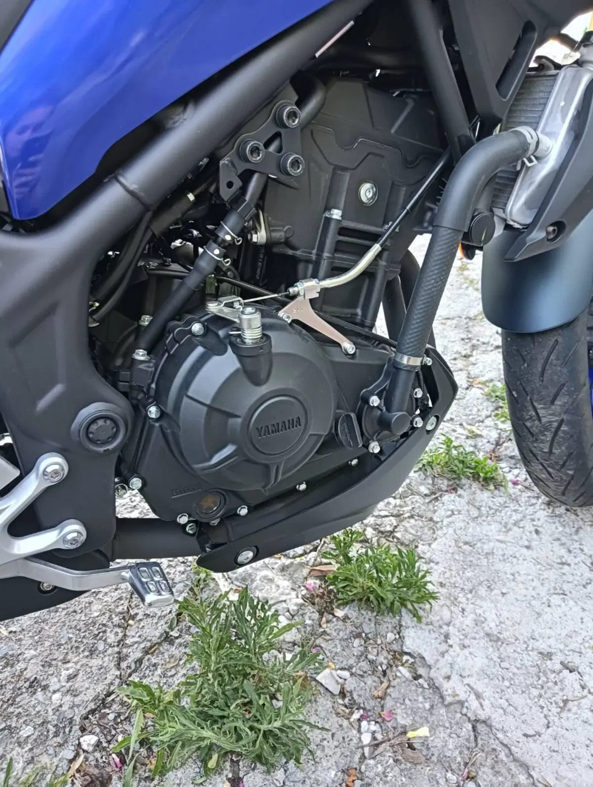 Yamaha MT-03 (2022 - 24) (5)