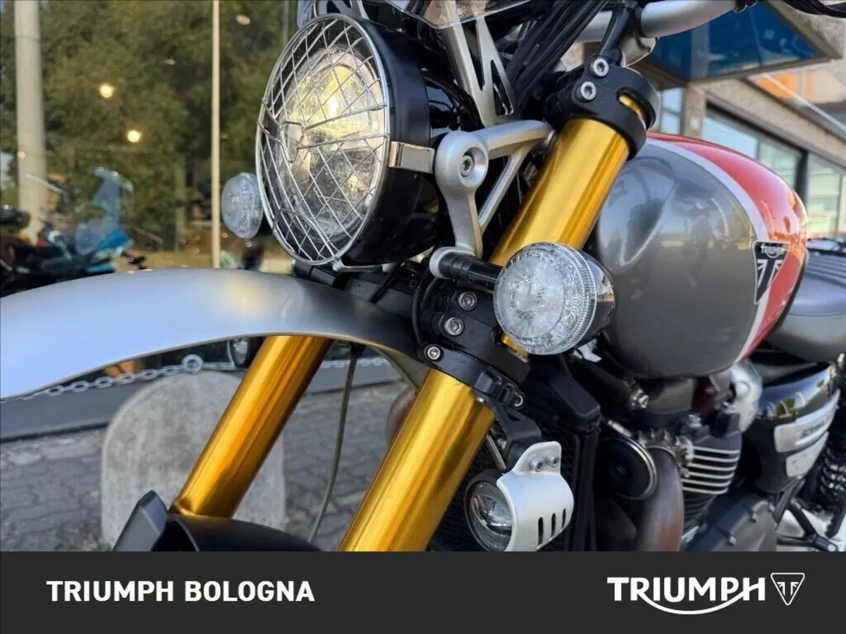 Triumph Scrambler 1200 XE (2024 - 25) (5)