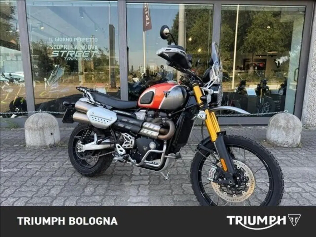 Triumph Scrambler 1200 XE (2024 - 25) (9)