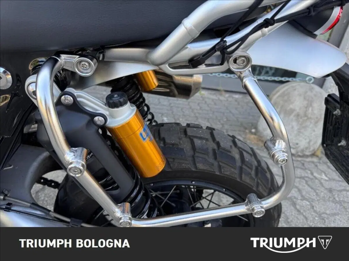 Triumph Scrambler 1200 XE (2024 - 25) (3)