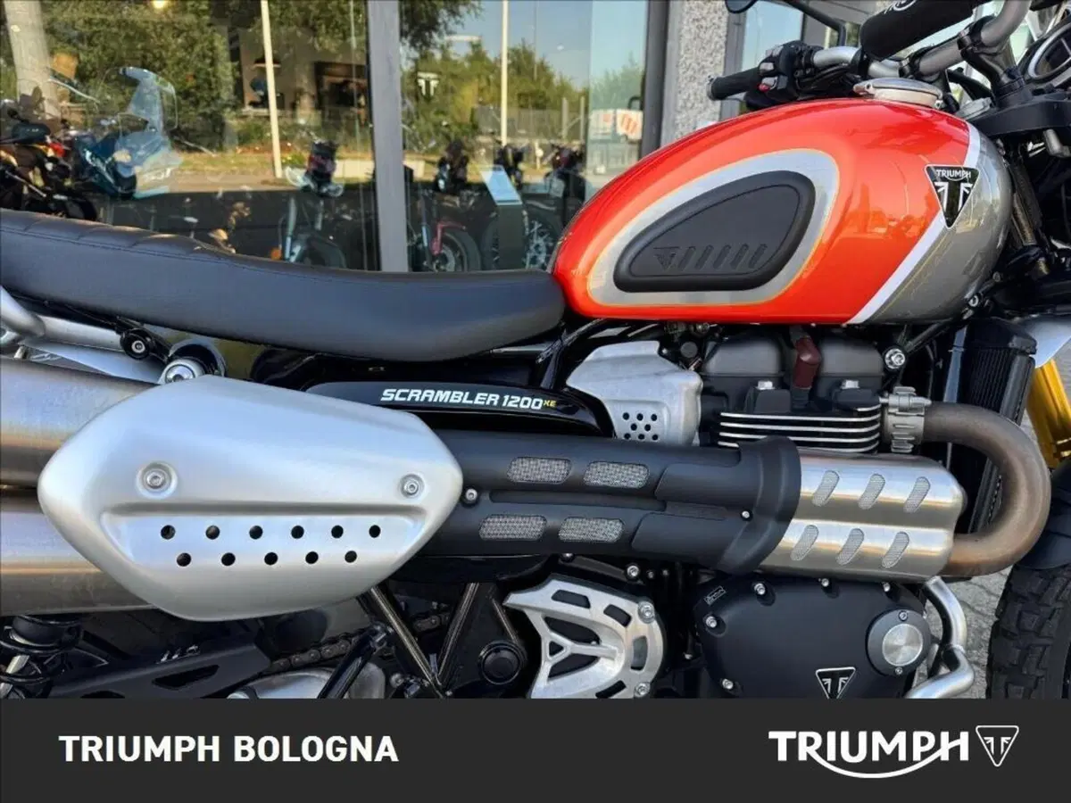 Triumph Scrambler 1200 XE (2024 - 25) (8)