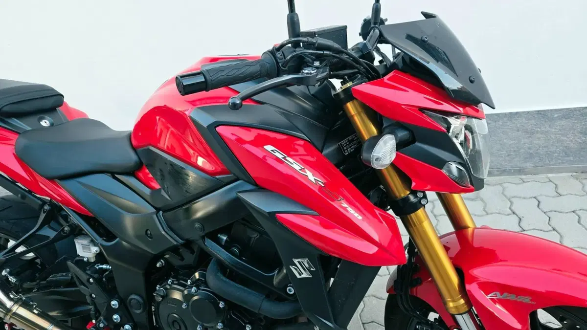 Suzuki GSX S 750 Yugen (2018 - 20) (3)