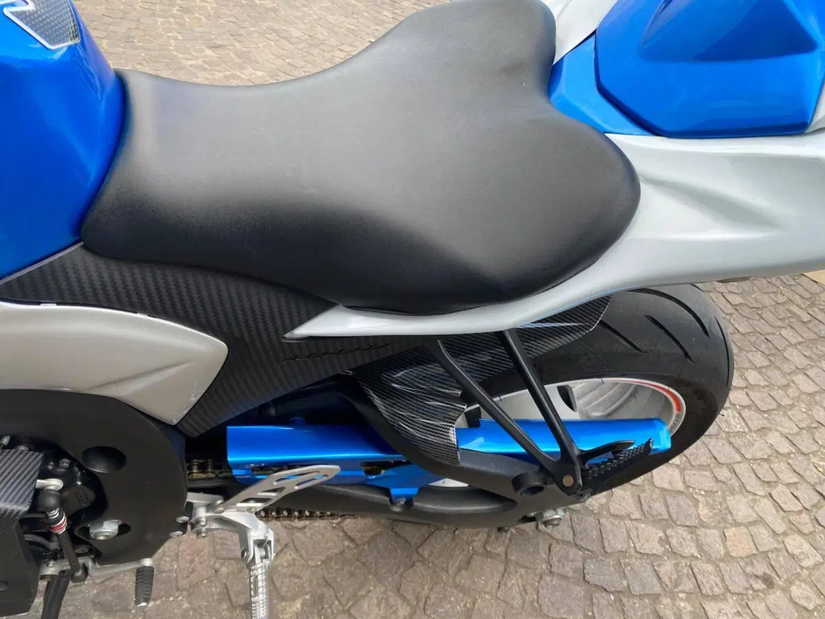 Suzuki GSX-R1000 (2009 - 11) (5)