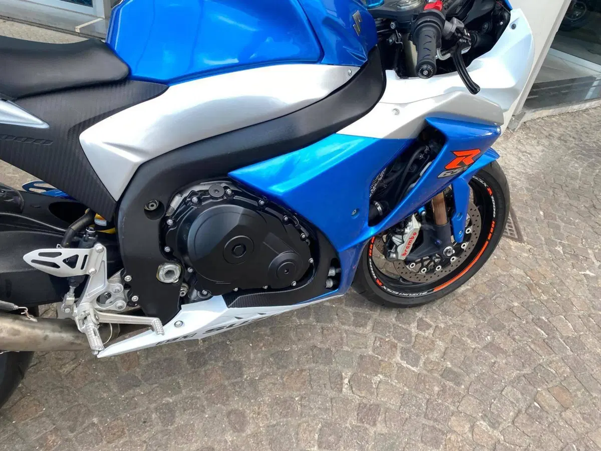 Suzuki GSX-R1000 (2009 - 11) (8)
