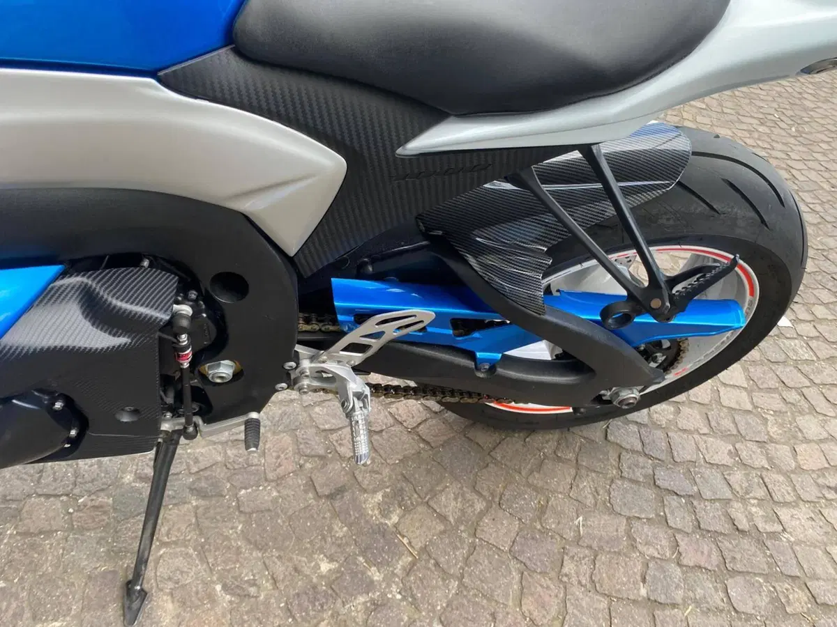 Suzuki GSX-R1000 (2009 - 11) (9)
