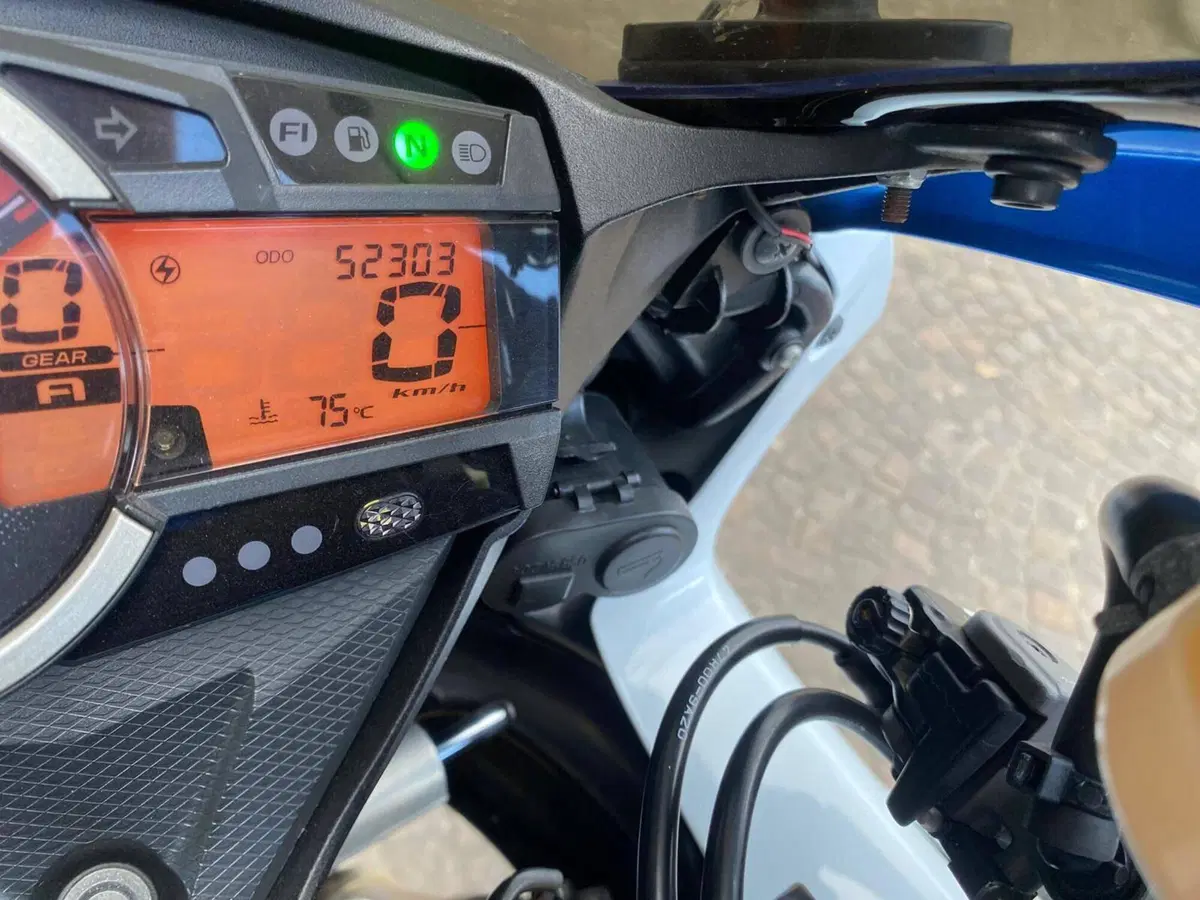 Suzuki GSX-R1000 (2009 - 11) (3)