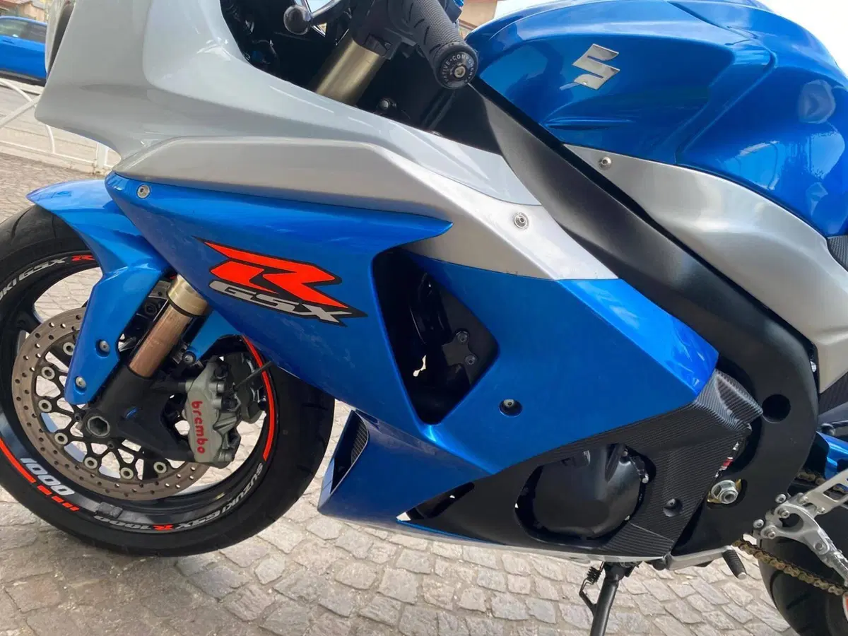 Suzuki GSX-R1000 (2009 - 11) (10)