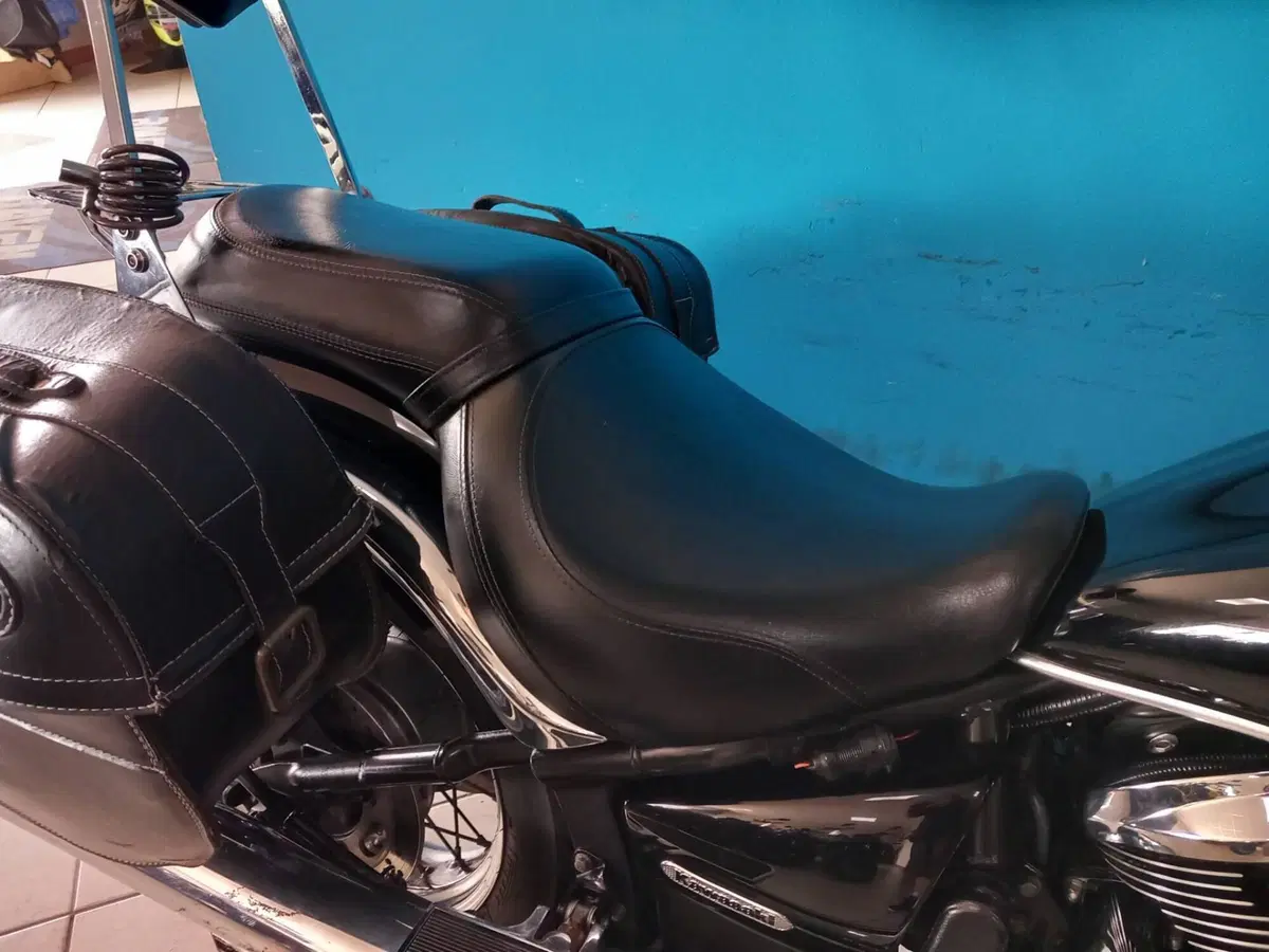 Kawasaki Vulcan VN 900 Classic (2006 - 10) (15)