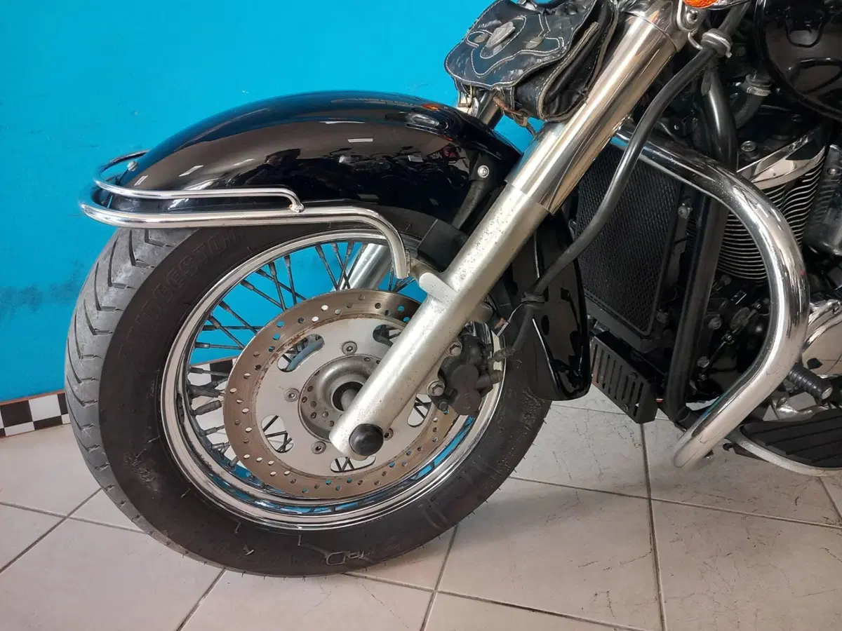 Kawasaki Vulcan VN 900 Classic (2006 - 10) (7)