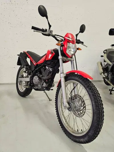 Betamotor Alp 200 (2009 - 17) usata