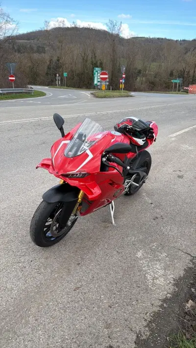 Ducati Panigale V4 S (2025 - 26) usata
