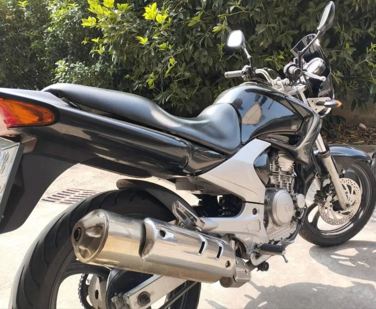 Yamaha YBR 250 (2006 - 13) (2)