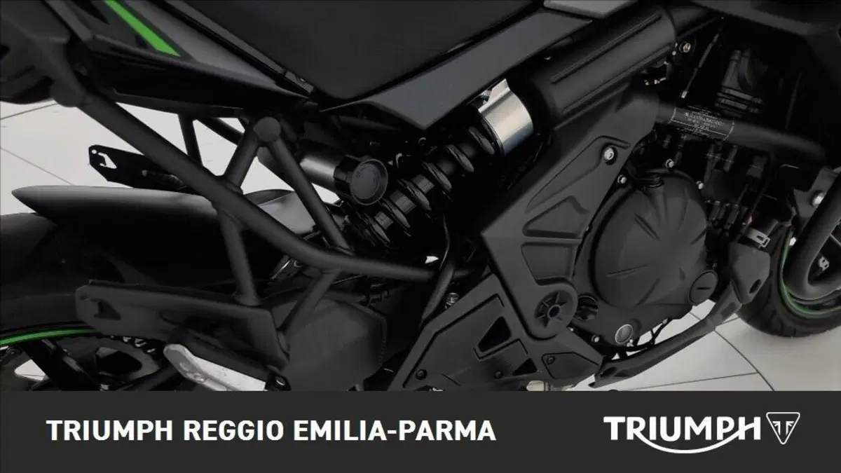 Kawasaki Versys 650 (2021 - 24) (17)