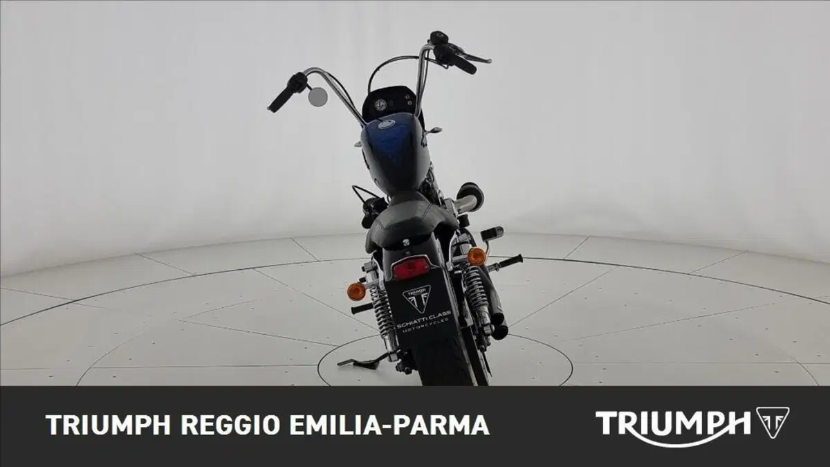 Harley-Davidson 1200 Roadster (2006 - 08) - XL 1200R (2)
