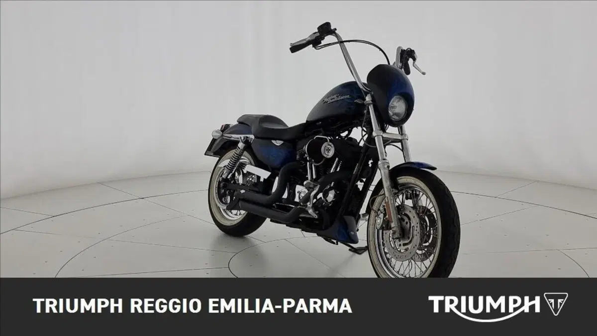 Harley-Davidson 1200 Roadster (2006 - 08) - XL 1200R (7)