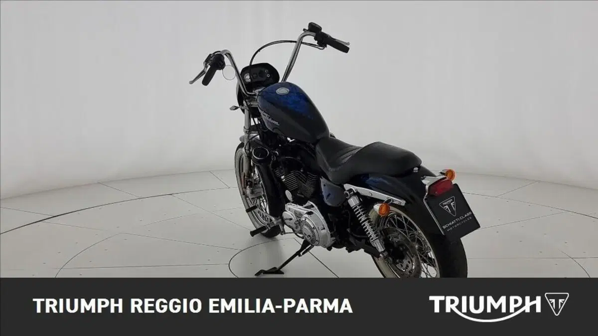 Harley-Davidson 1200 Roadster (2006 - 08) - XL 1200R (3)