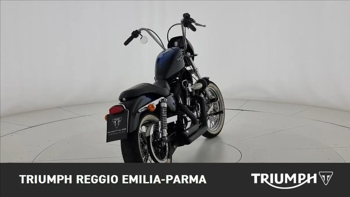 Harley-Davidson 1200 Roadster (2006 - 08) - XL 1200R (8)