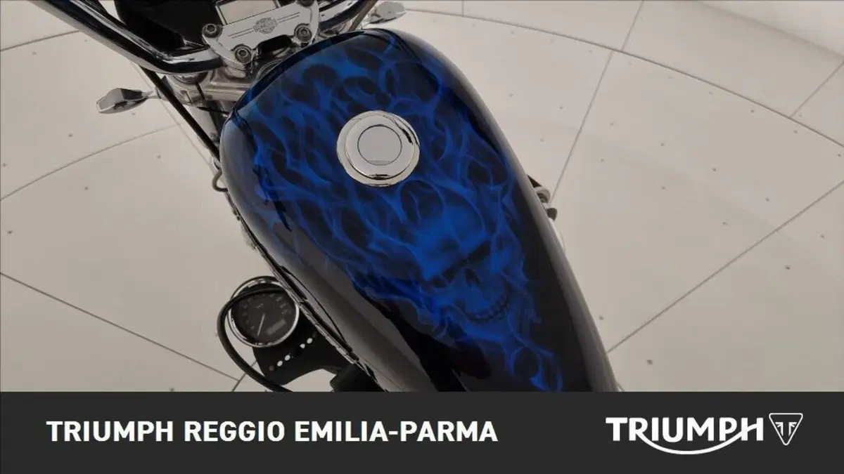 Harley-Davidson 1200 Roadster (2006 - 08) - XL 1200R (12)