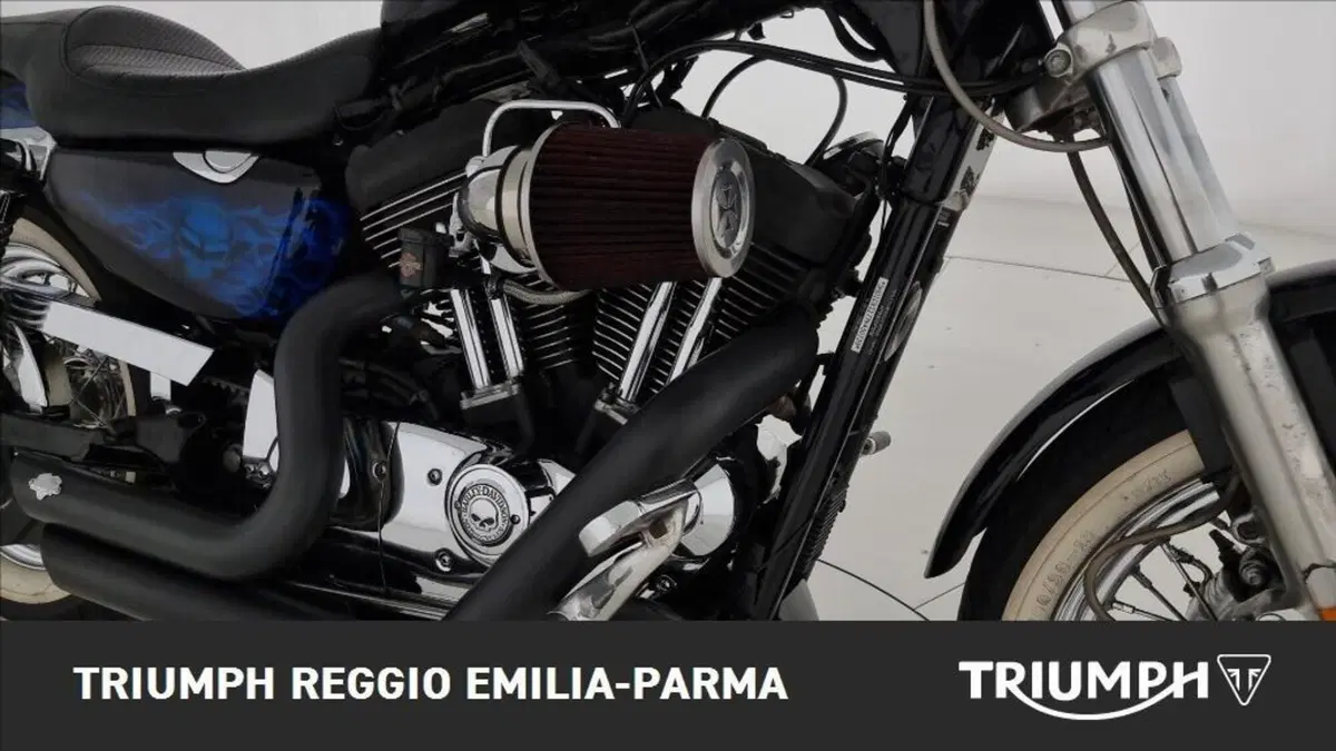 Harley-Davidson 1200 Roadster (2006 - 08) - XL 1200R (19)