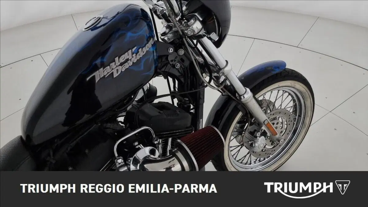 Harley-Davidson 1200 Roadster (2006 - 08) - XL 1200R (20)