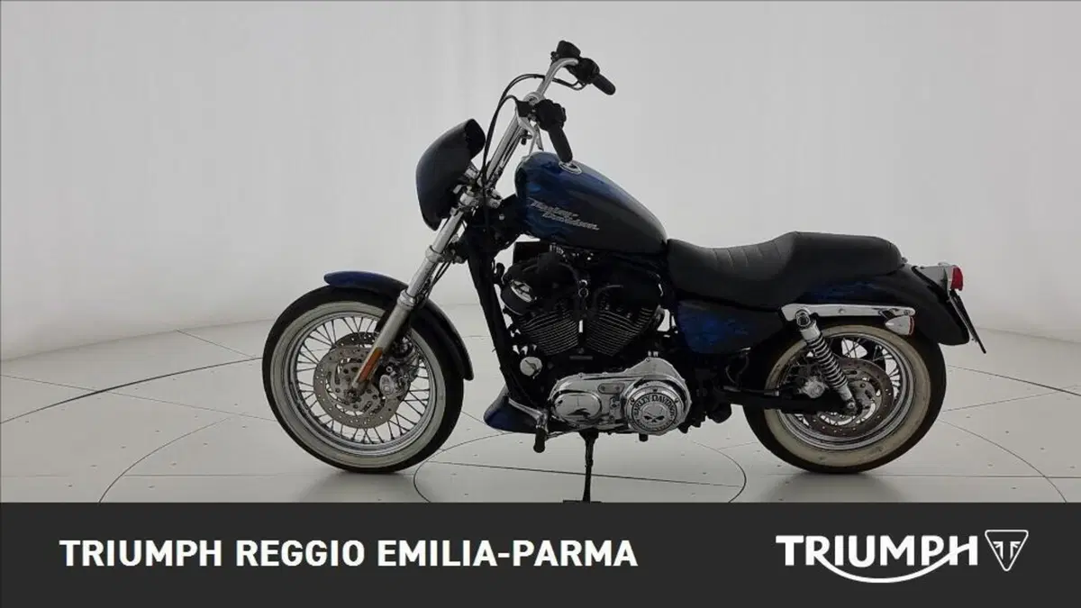 Harley-Davidson 1200 Roadster (2006 - 08) - XL 1200R (4)
