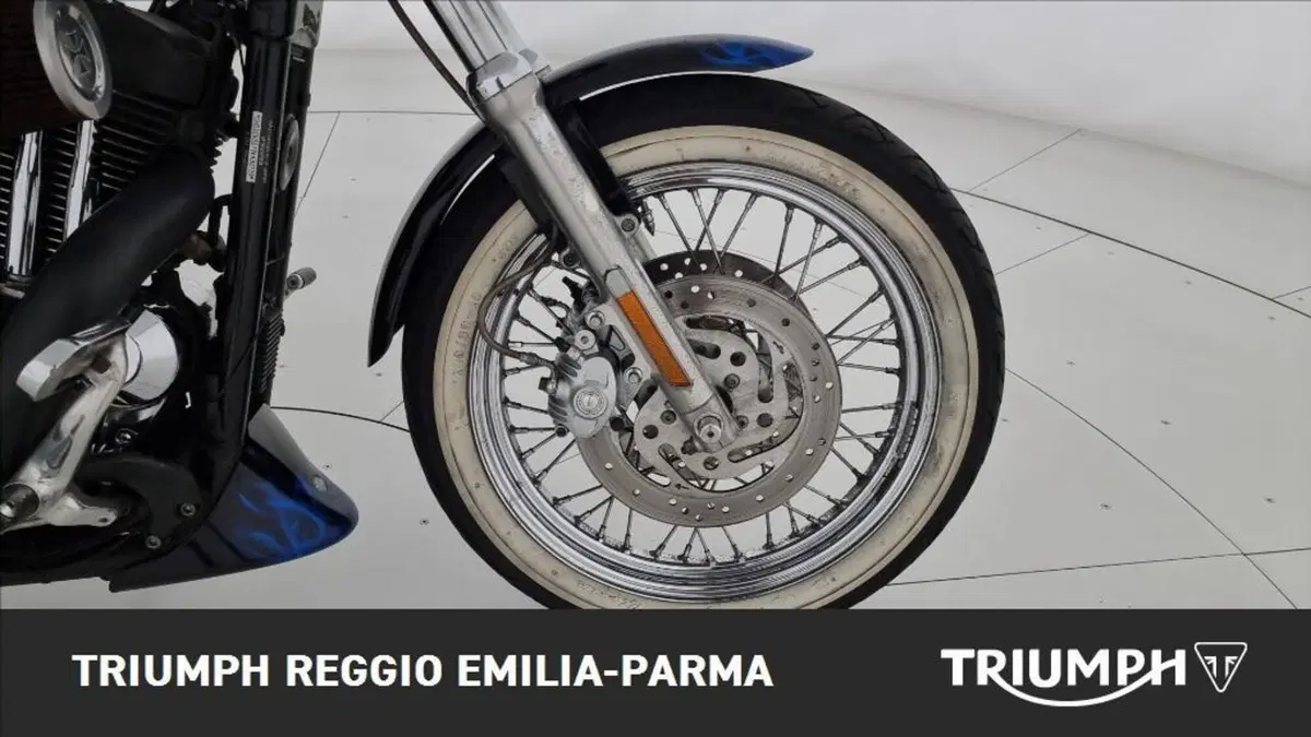 Harley-Davidson 1200 Roadster (2006 - 08) - XL 1200R (21)