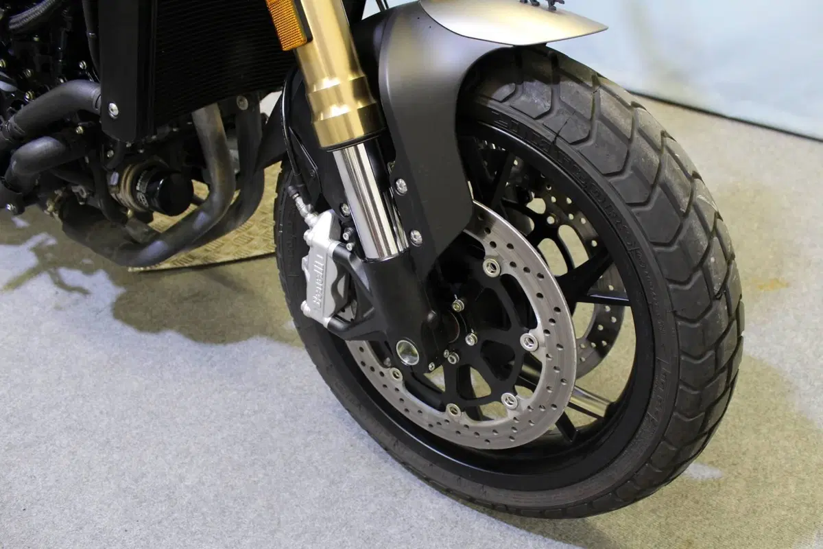 Benelli Leoncino 800 (2022 - 26) (5)