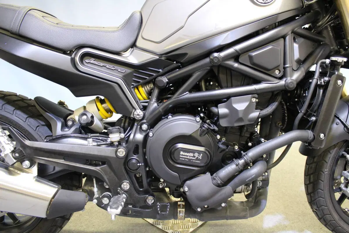 Benelli Leoncino 800 (2022 - 26) (7)