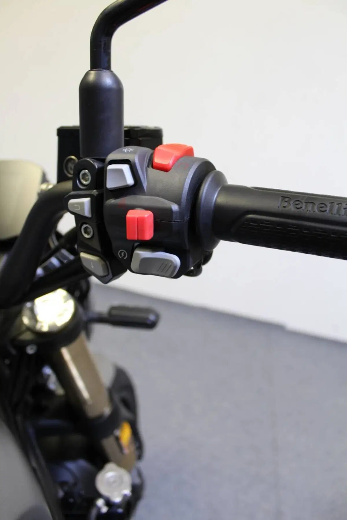 Benelli Leoncino 800 (2022 - 26) (9)