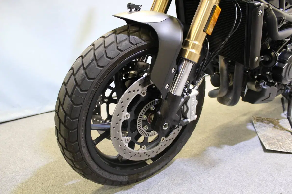 Benelli Leoncino 800 (2022 - 26) (14)