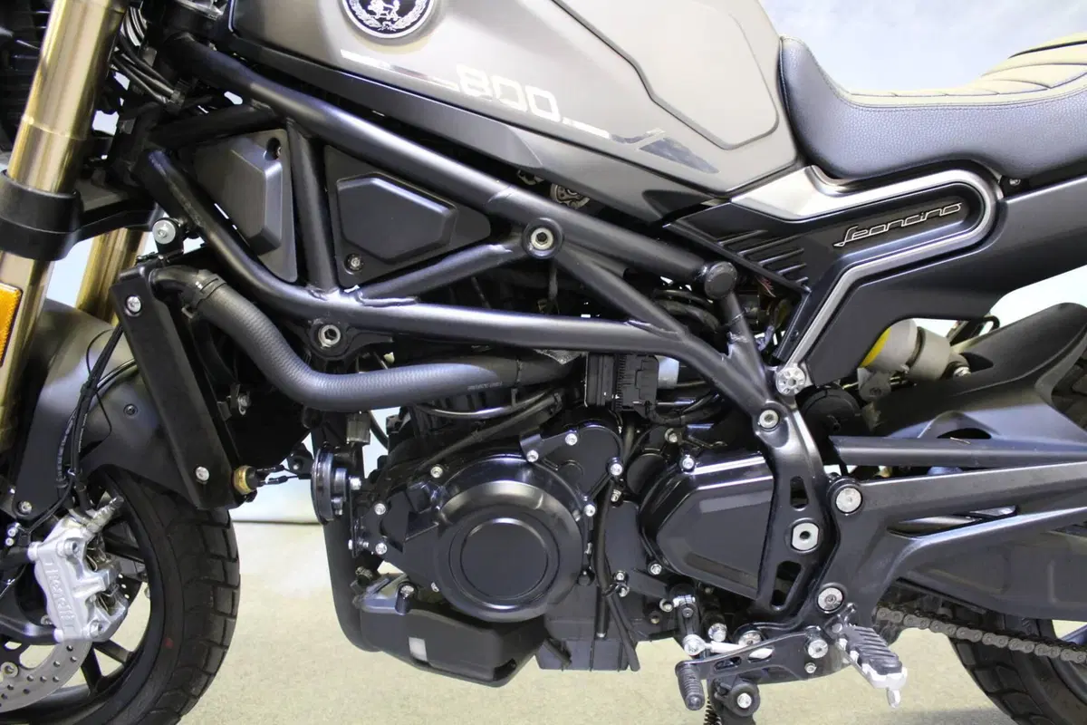 Benelli Leoncino 800 (2022 - 26) (16)
