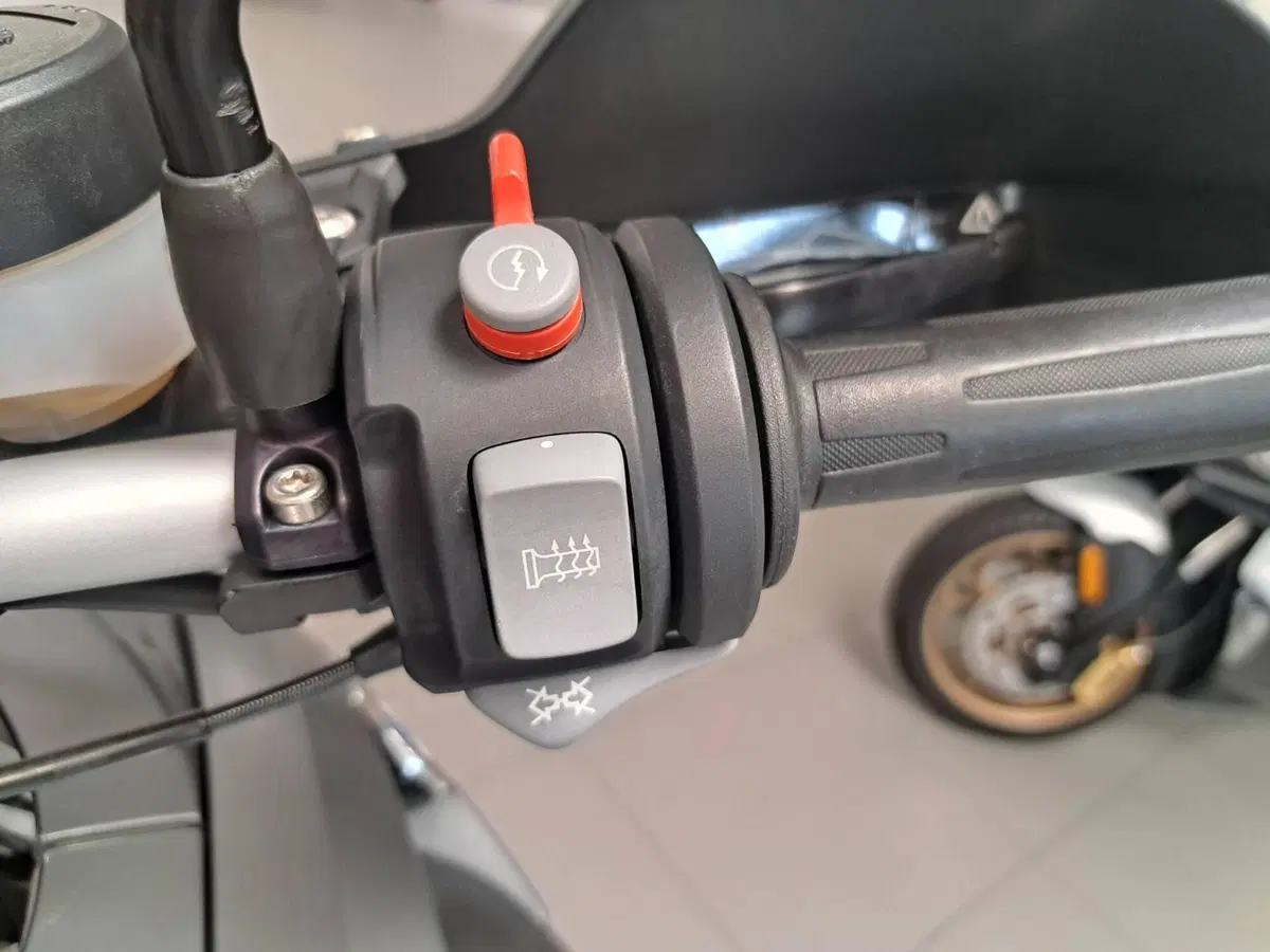 Bmw R 1200 GS (2004 - 07) (6)