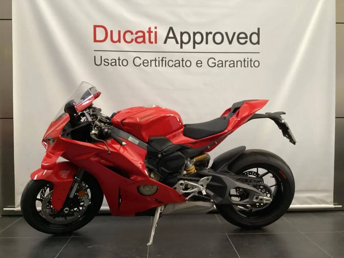 Ducati Panigale V4 (2025 - 26) (4)