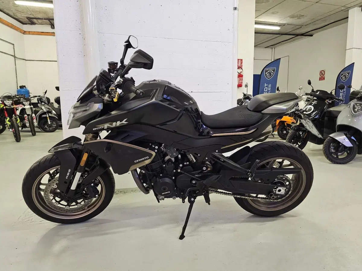 CFMOTO 800NK Sport (2023 - 26) (2)