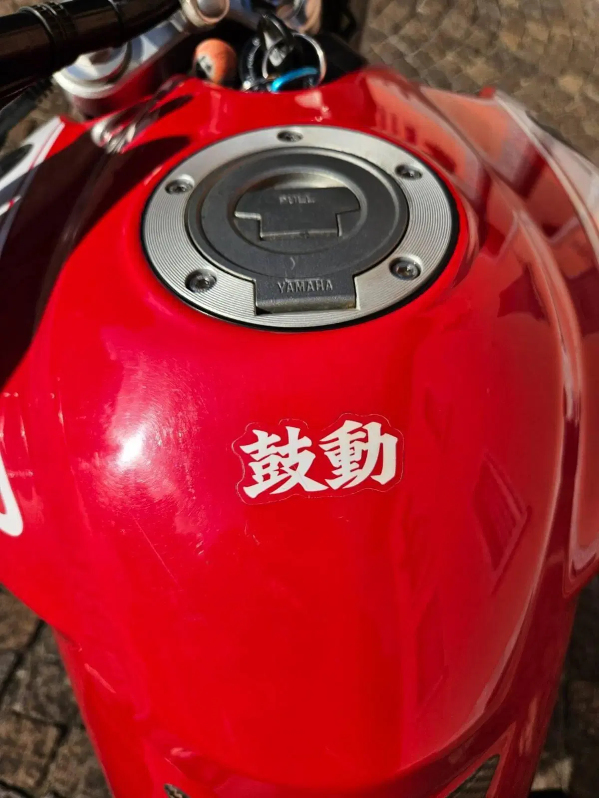Yamaha MT-03 (2006 - 14) (6)